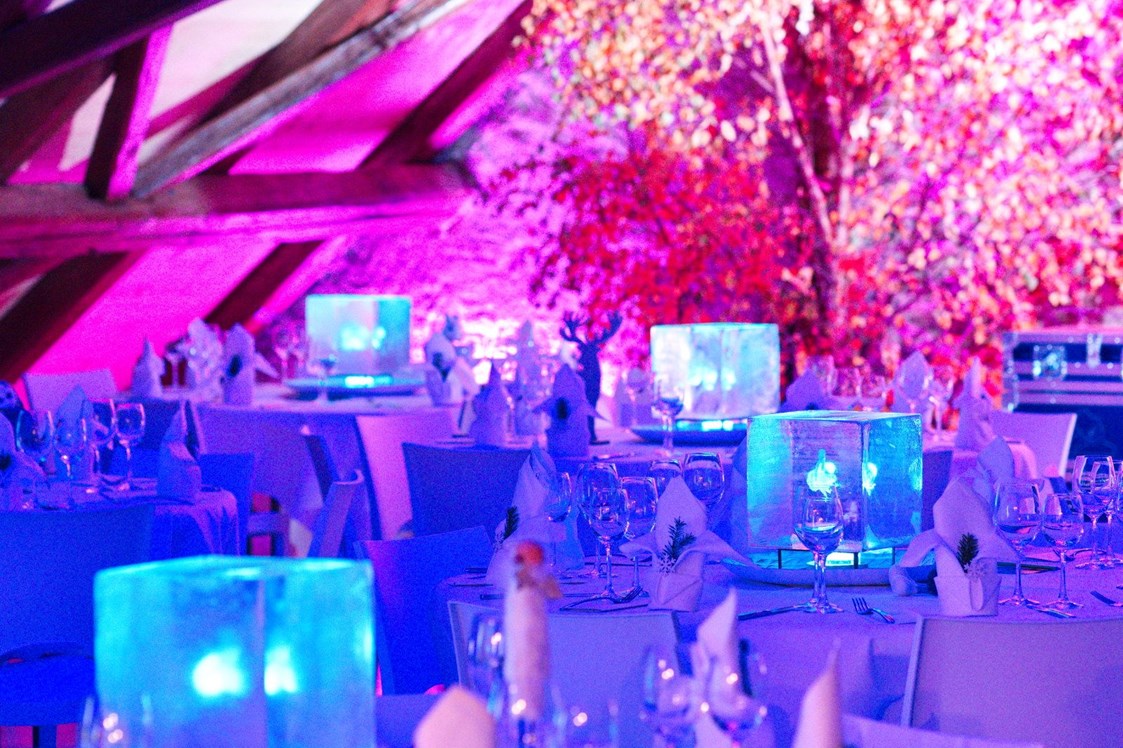 Hochzeit: Wintizauber Dinnerspektakel jährlich wiederkehrend - ROTE TROTTE Winterthur