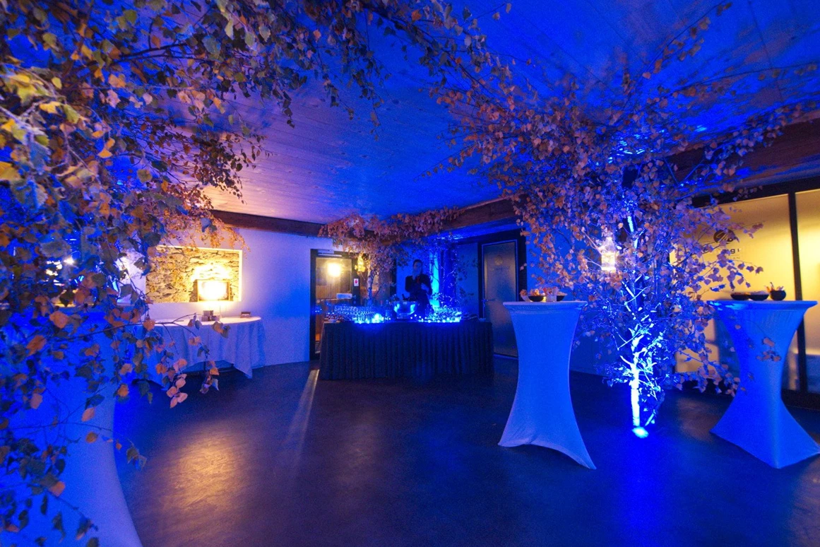 Hochzeitslocation: ROTE TROTTE Winterthur