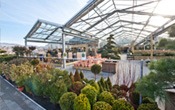 Hochzeit - Bern - Gartencenter Wyss