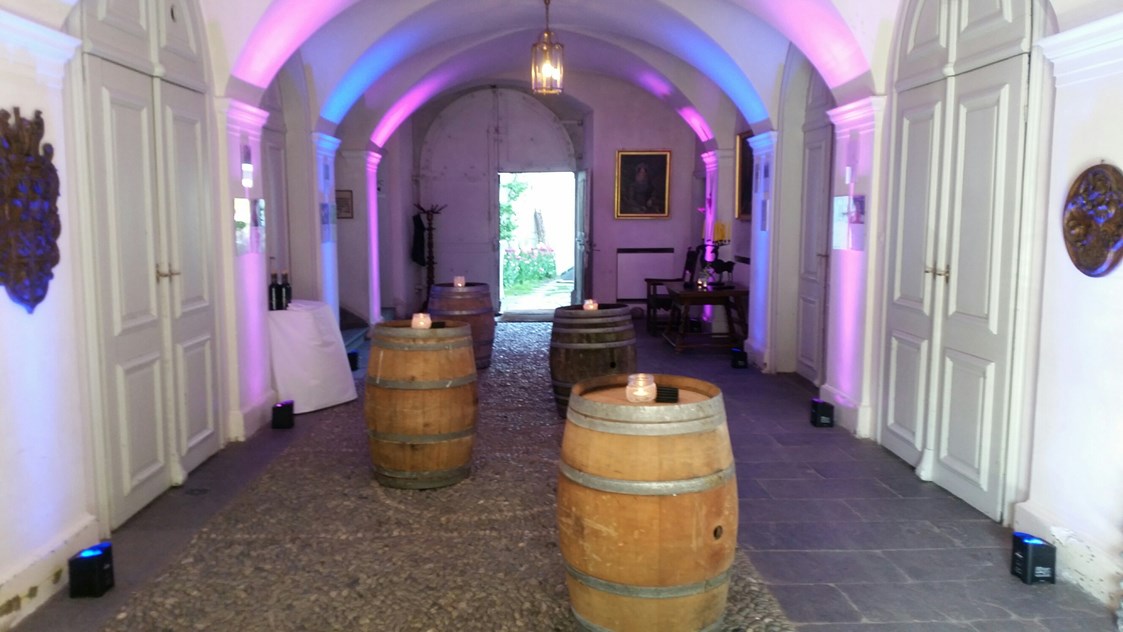 Hochzeit: Schlossgang, ideal für Stehapéros, Flying Dinner, mit wunderbarer gewölbter Decke - Event Schloss Reichenau