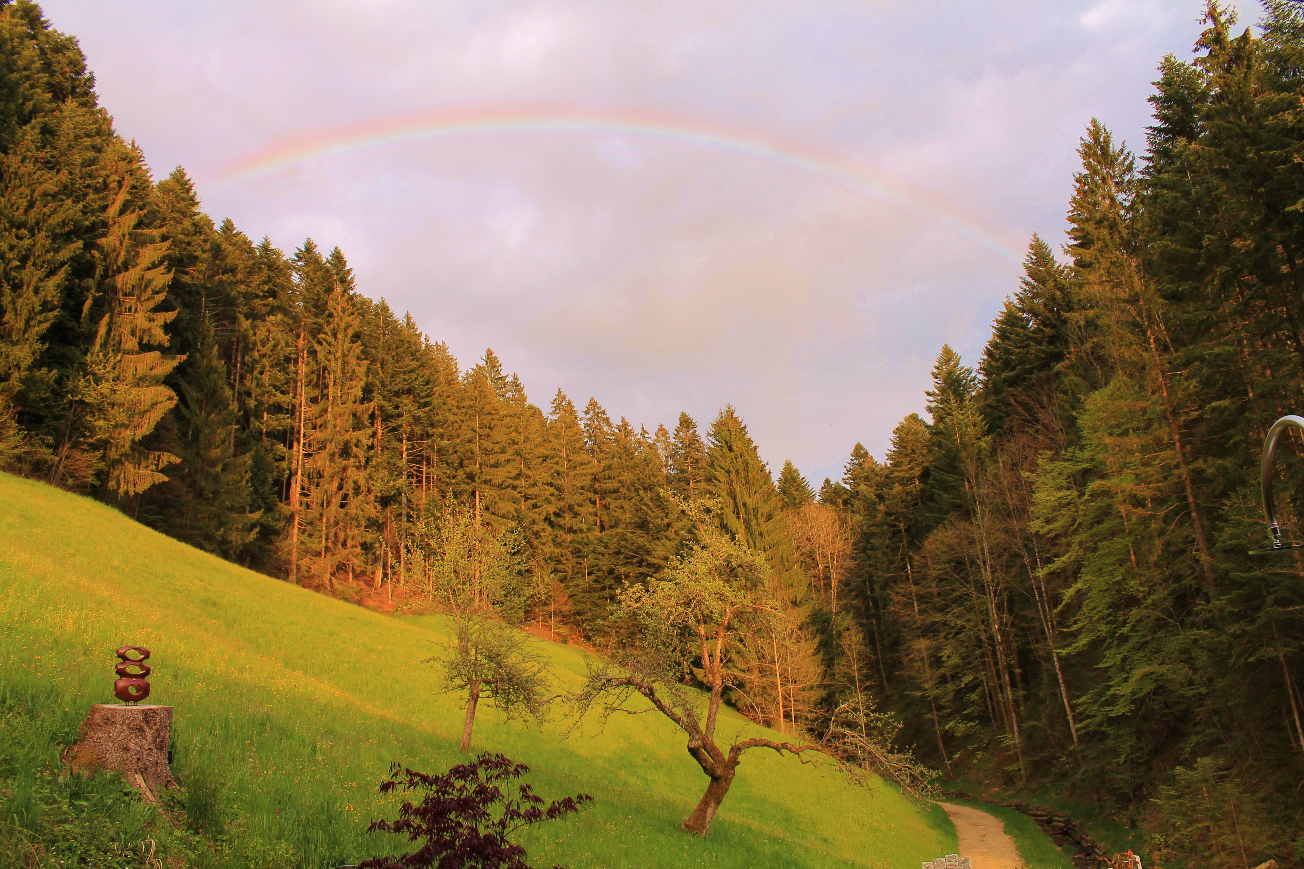 Hochzeit: Spricht für sich... - Chrattegrabe Emmental