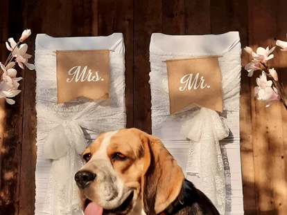 Wedding - Neufelden - Presshaus beim Freiseder am Pöstlingberg