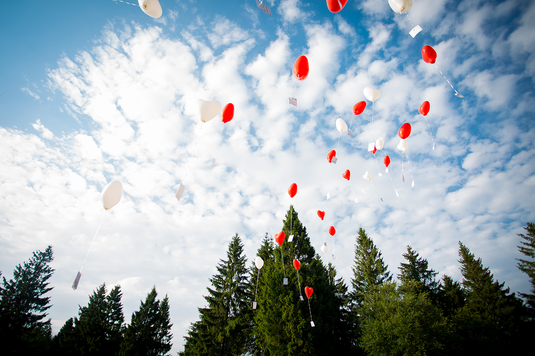 Hochzeit: Fuchskaute Lodge