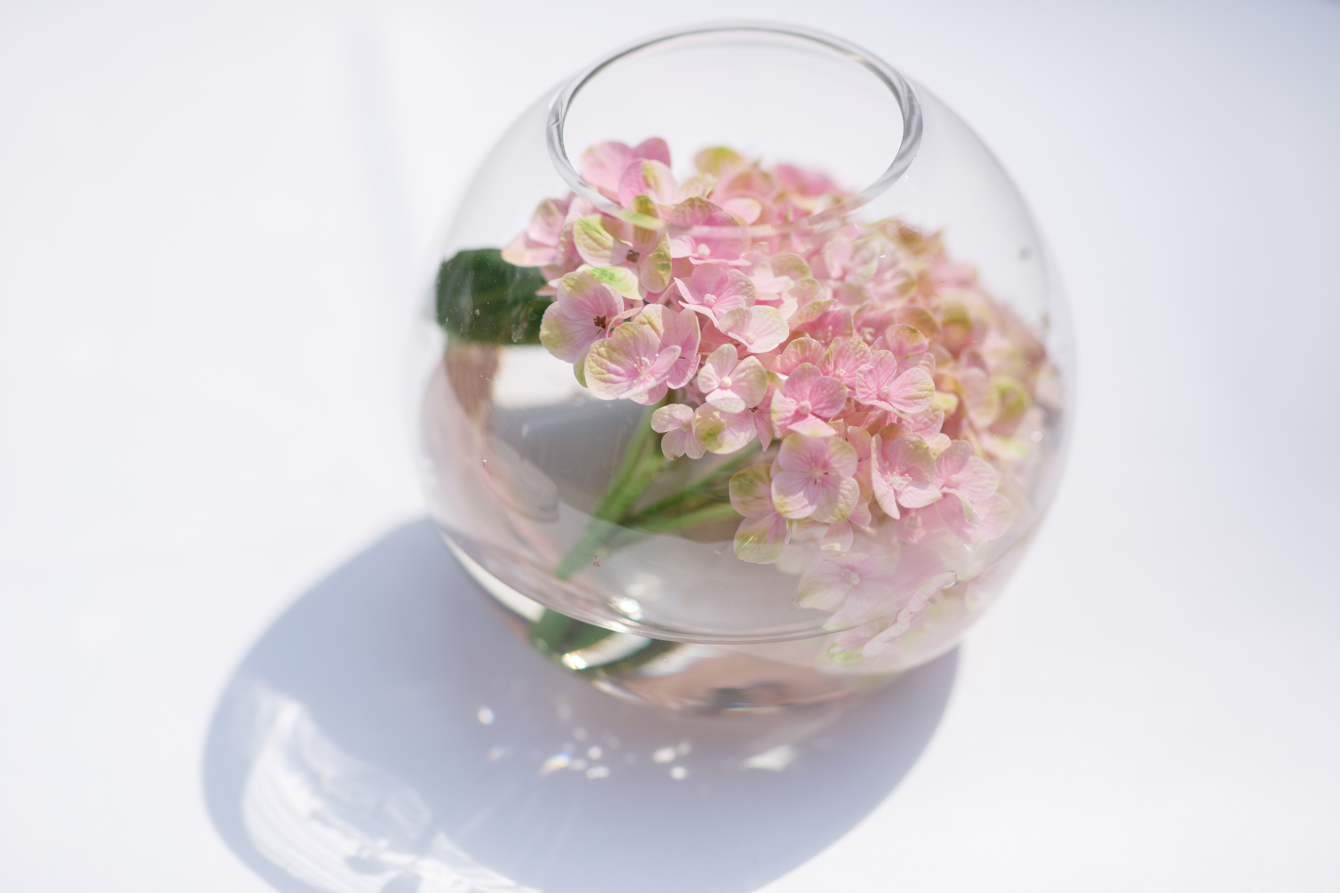 Hochzeitslocation: HIRSCHAU