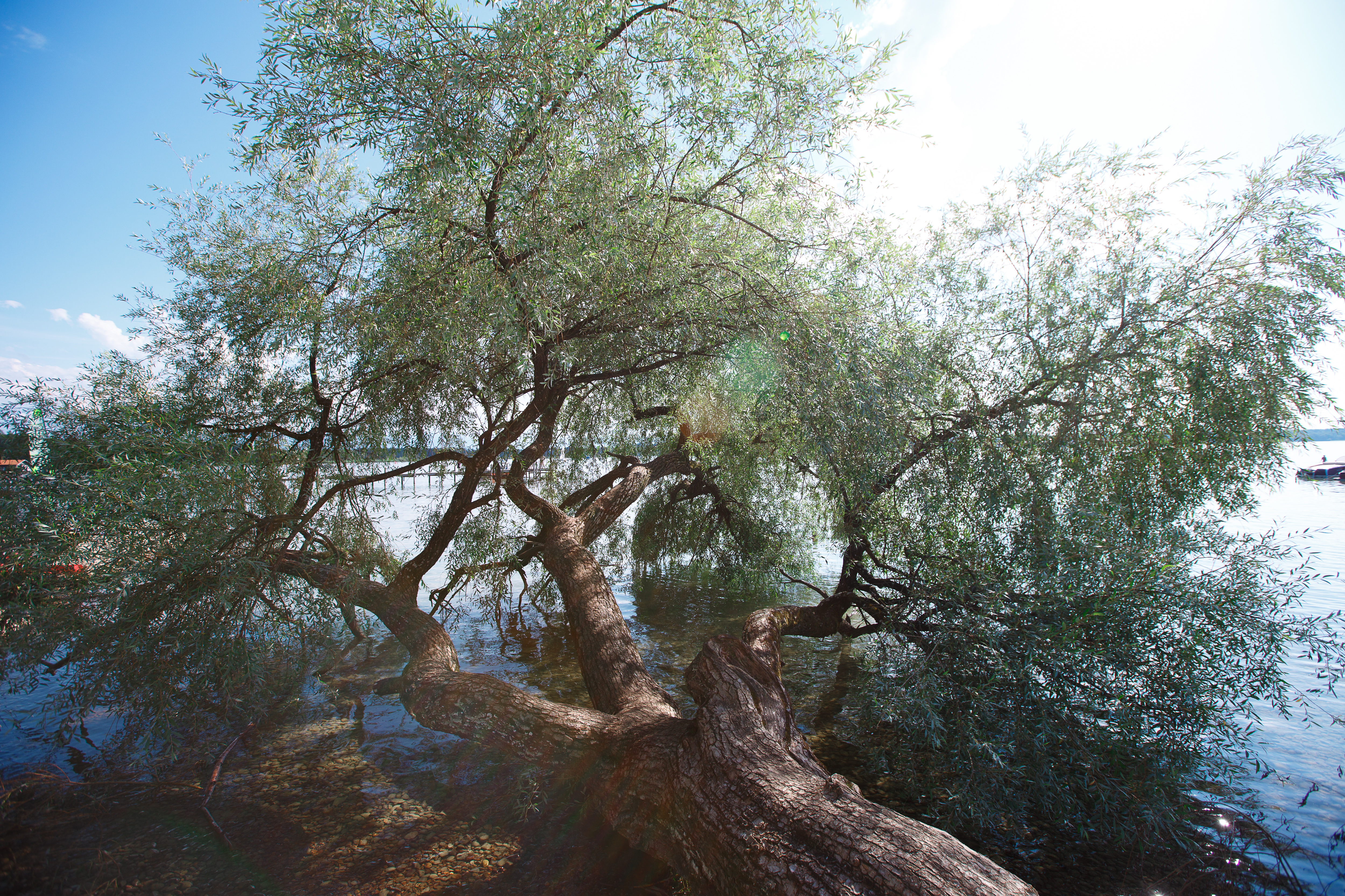 Hochzeitslocation: Kleines Seehaus
