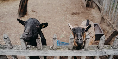 Hochzeit - Werneuchen - Bergschlösschen Buckow