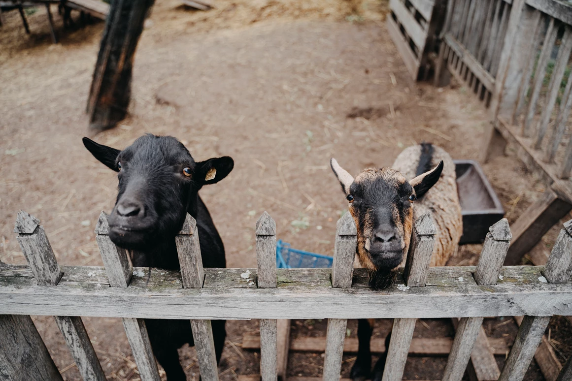 Hochzeitslocation: Bergschlösschen Buckow