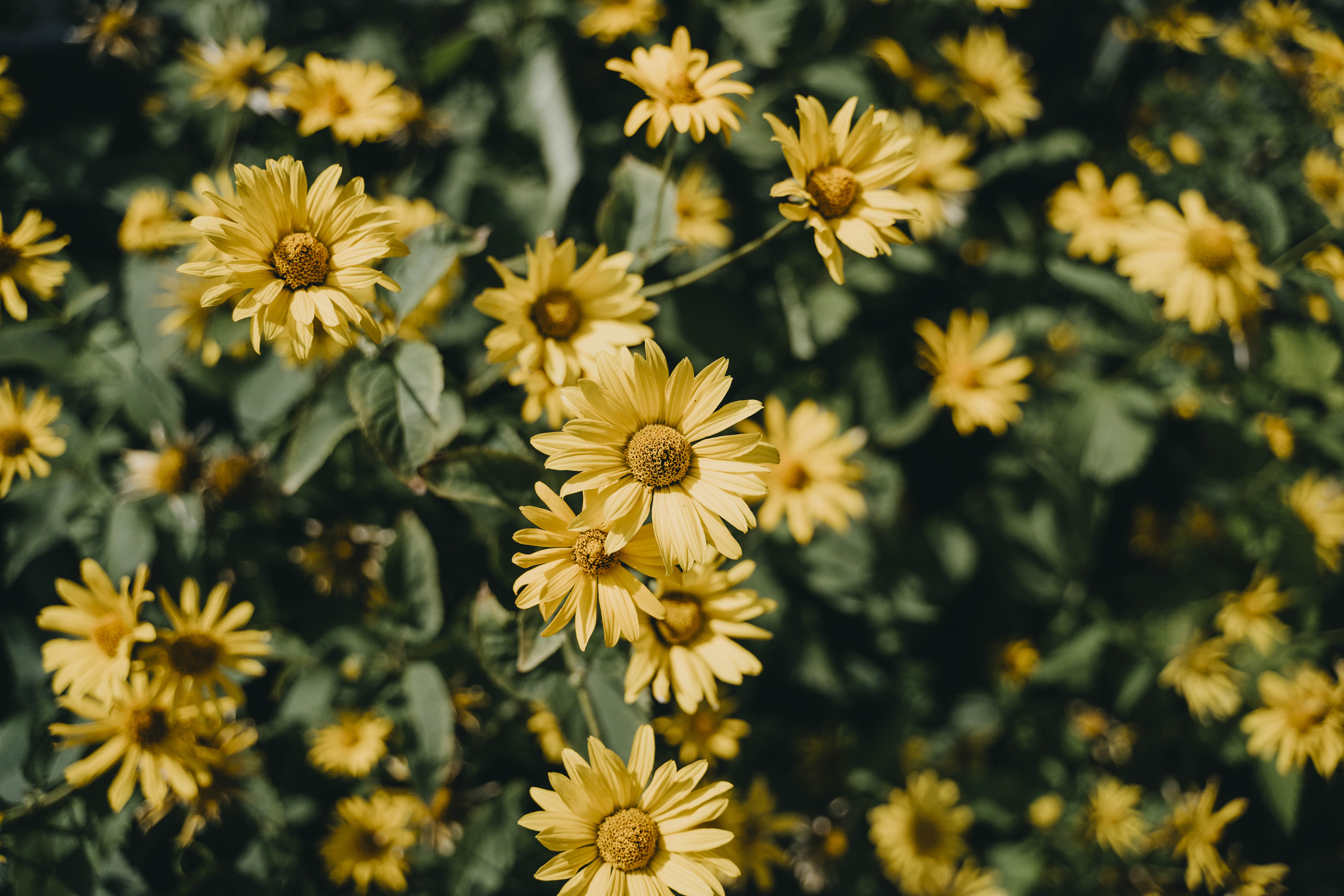 Hochzeit: Haus am Bauernsee