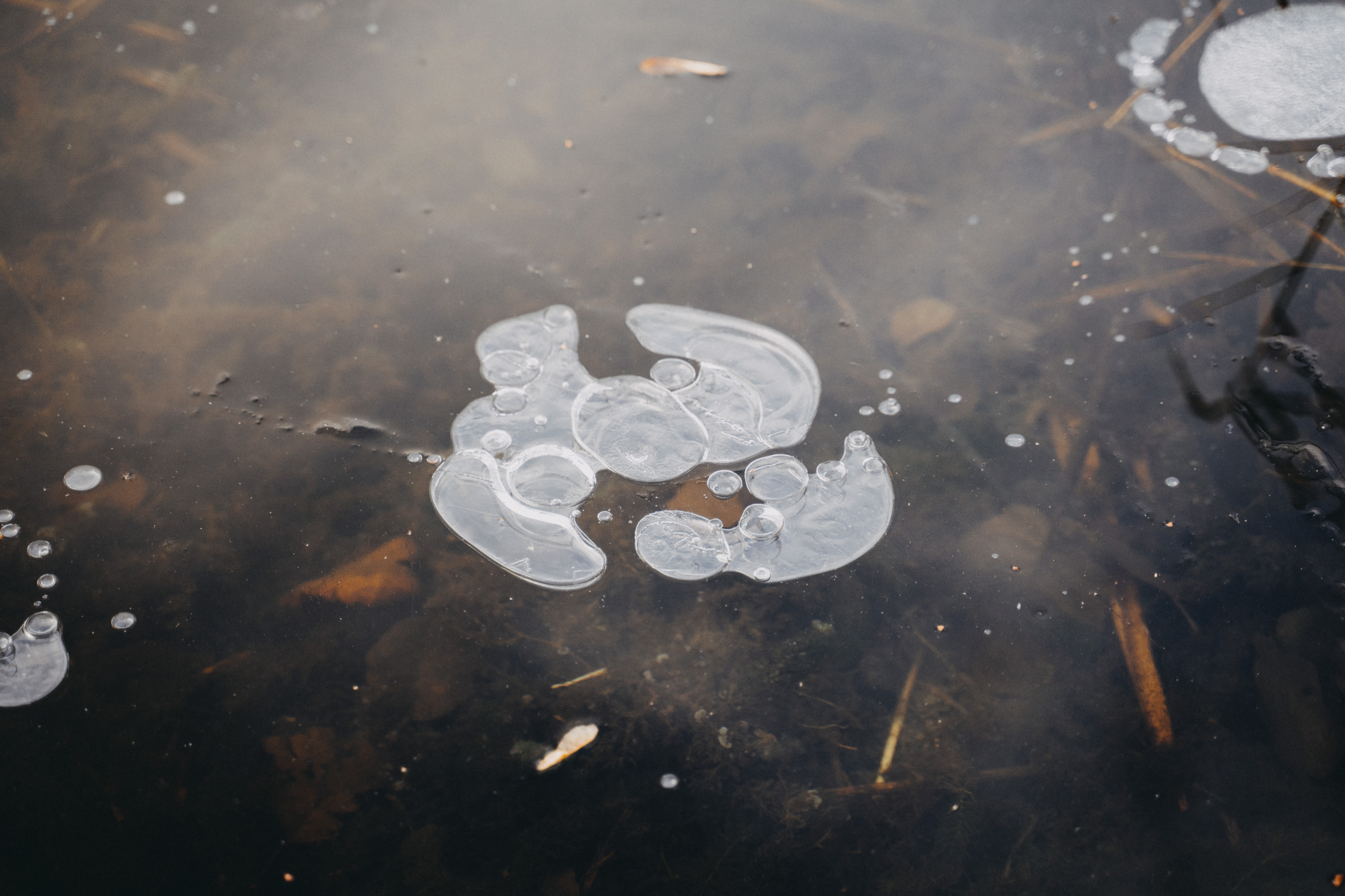Hochzeit: Haus am Bauernsee