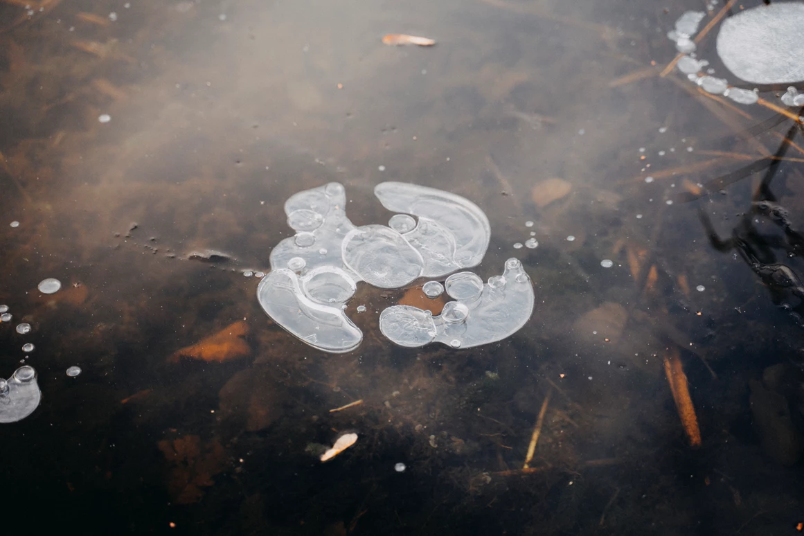 Hochzeit: Haus am Bauernsee
