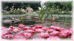 Mariage - Eisenstadt - Rosarium - Bad Sauerbrunn