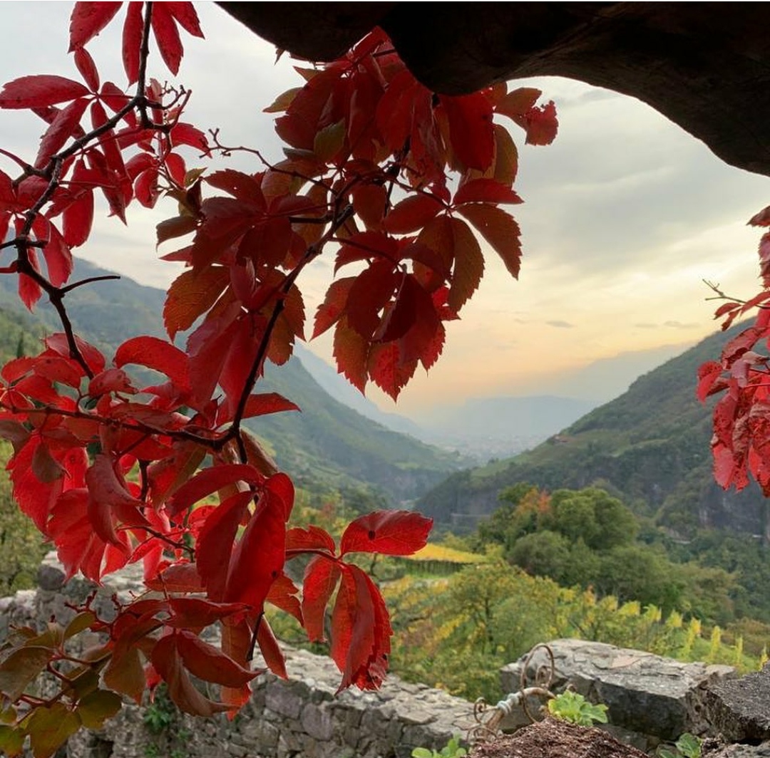 Hochzeit: Schloss Wangen Bellermont