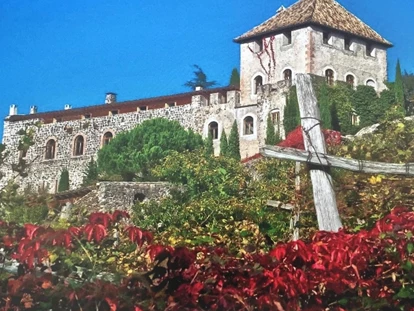 Hochzeit - Nals - Schloss Wangen Bellermont