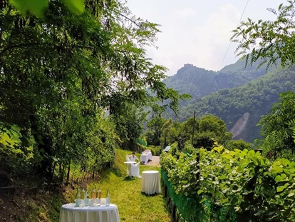Hochzeit - Nals - Sektempfang für eure Hochzeit im Weinberg des Schloss Wangen in Bozen. - Schloss Wangen Bellermont