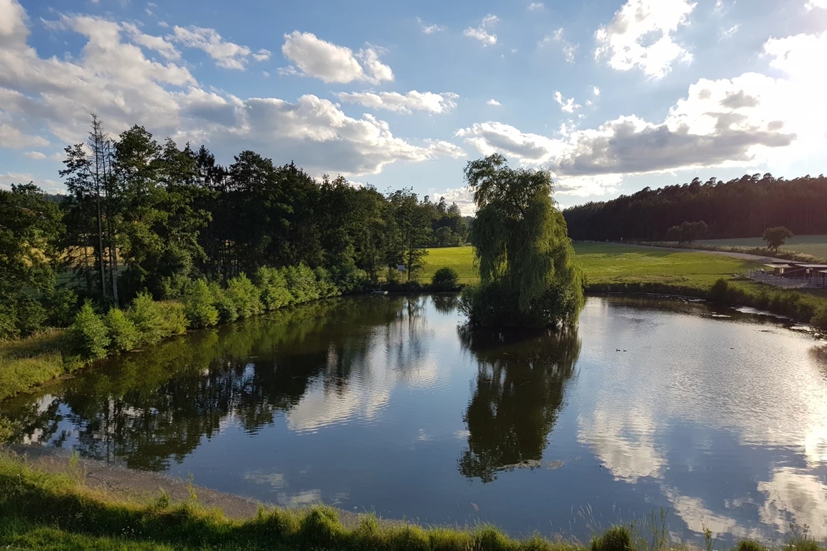 Hochzeitslocation: Seeblick aus Eventsaal - Eventhotel Ö-Cappuccino