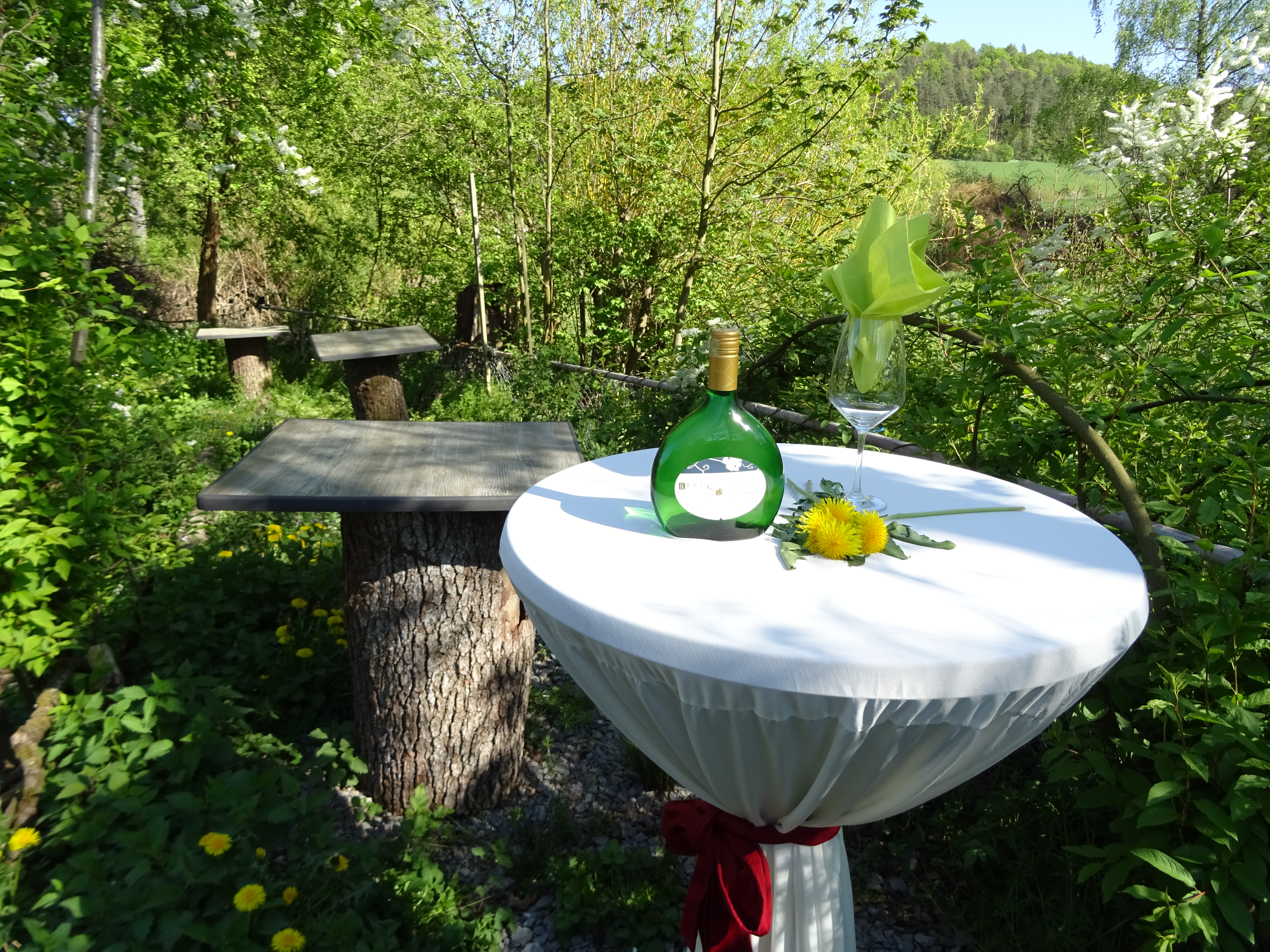 Hochzeit: Natur pur im Ur-Bereich - Eventhotel Ö-Cappuccino