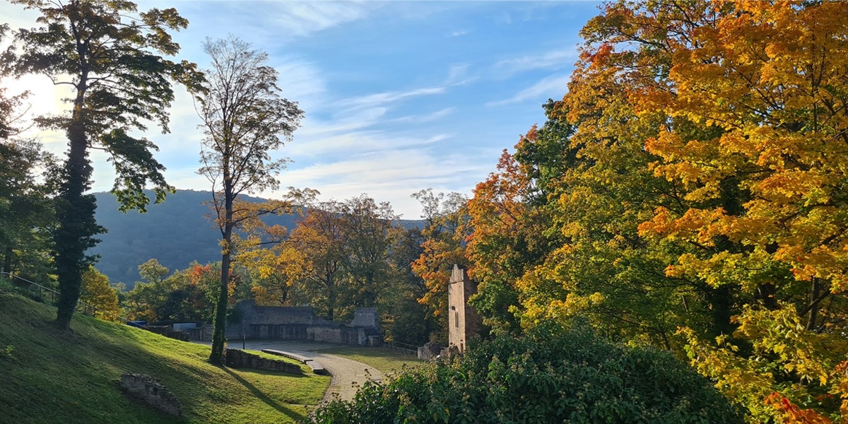 Bruiloft - Bad Dürkheim - Hambacher Schloss