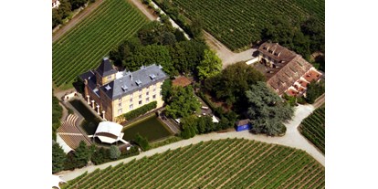 Hochzeit - PLZ 67454 (Deutschland) - Luftaufnahme - Hotel Schloss Edesheim