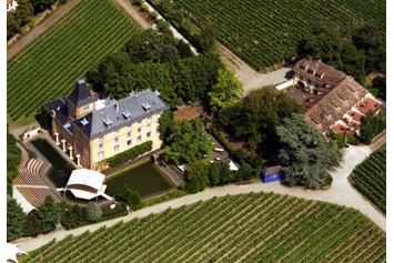 Hochzeit: Luftaufnahme - Hotel Schloss Edesheim