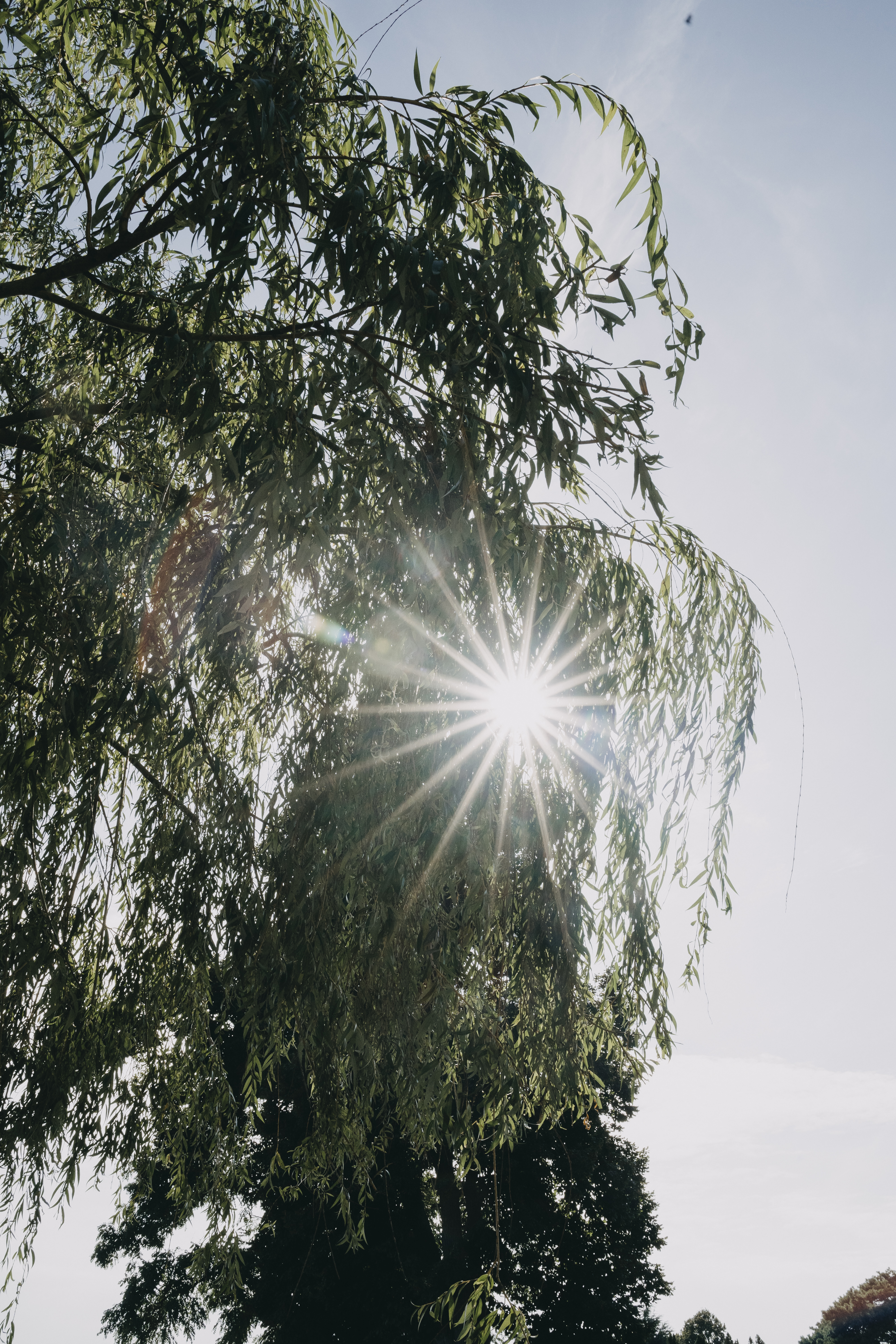 Hochzeitslocation: DämeritzSeehotel