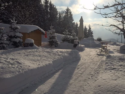 Hochzeit - Puch bei Hallein - Idyllischer Winterwald ist von Ende November bis Ende März geöffnet - Panoramagasthof DaxLueg