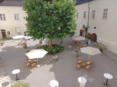 Hochzeitslocation: Schloss zu Spitz