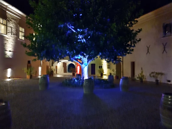 Hochzeitslocation: Schloss zu Spitz