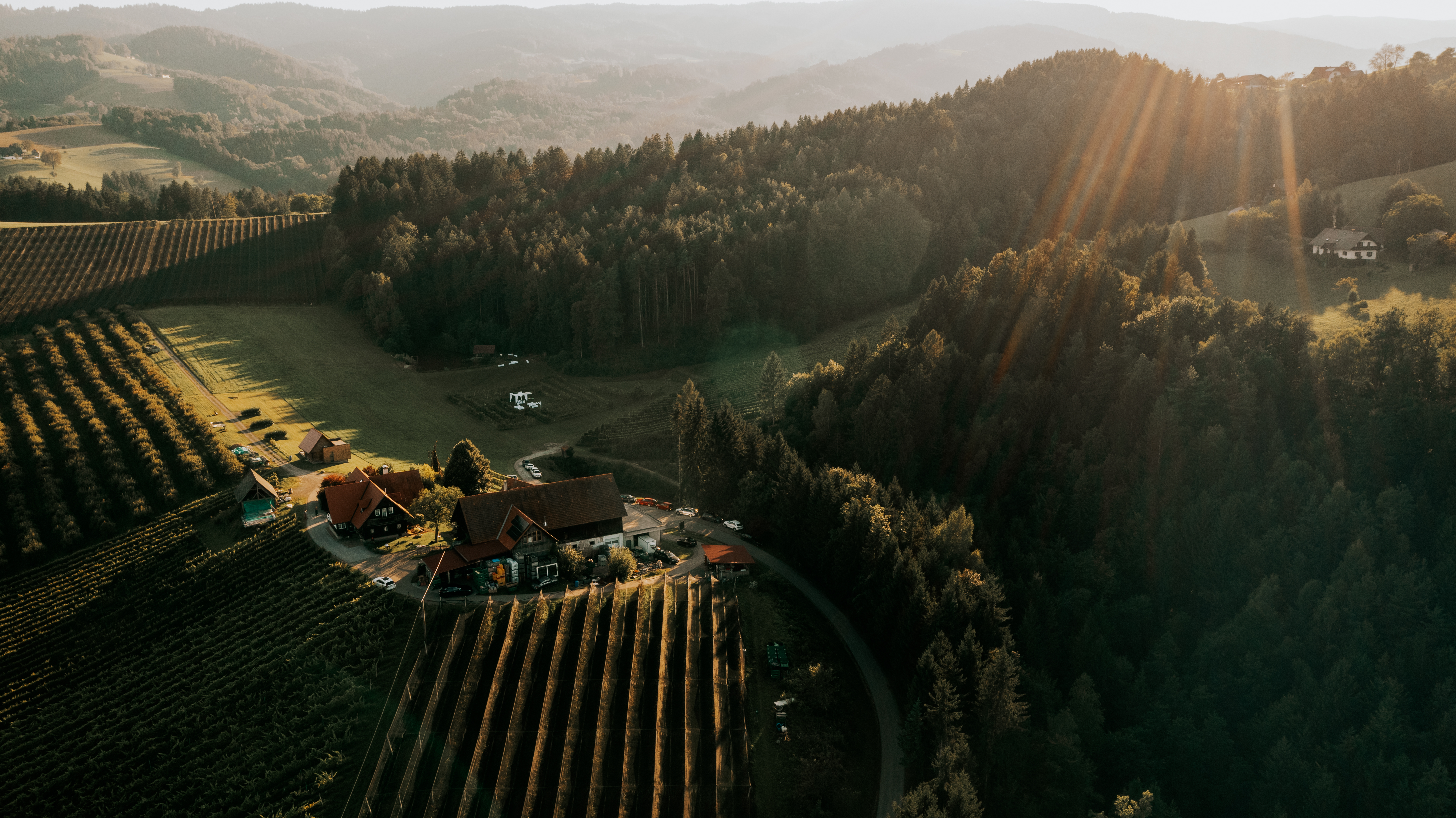 Hochzeitslocation: Weingut Jöbstl Stammhaus 