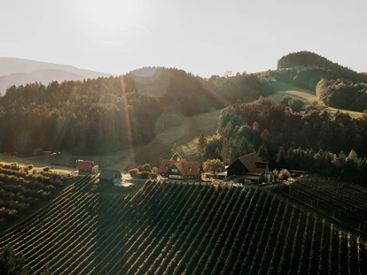 Mariage - Frühlingshochzeit - Weingut Jöbstl Stammhaus