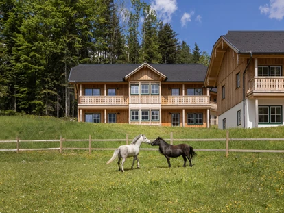 Wedding - Spielplatz - Pötschen (Bad Goisern am Hallstättersee) - Narzissendorf Zloam - Ausseer Häuser mit Ponys - Narzissendorf Zloam - Grundlsee