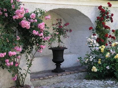 Wedding - Pottenbrunn - Wasserschloss Totzenbach