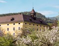 Hochzeit: Schloss Lichtengraben - Gut Schloss Lichtengraben  - romantisches Schloss exklusive mieten