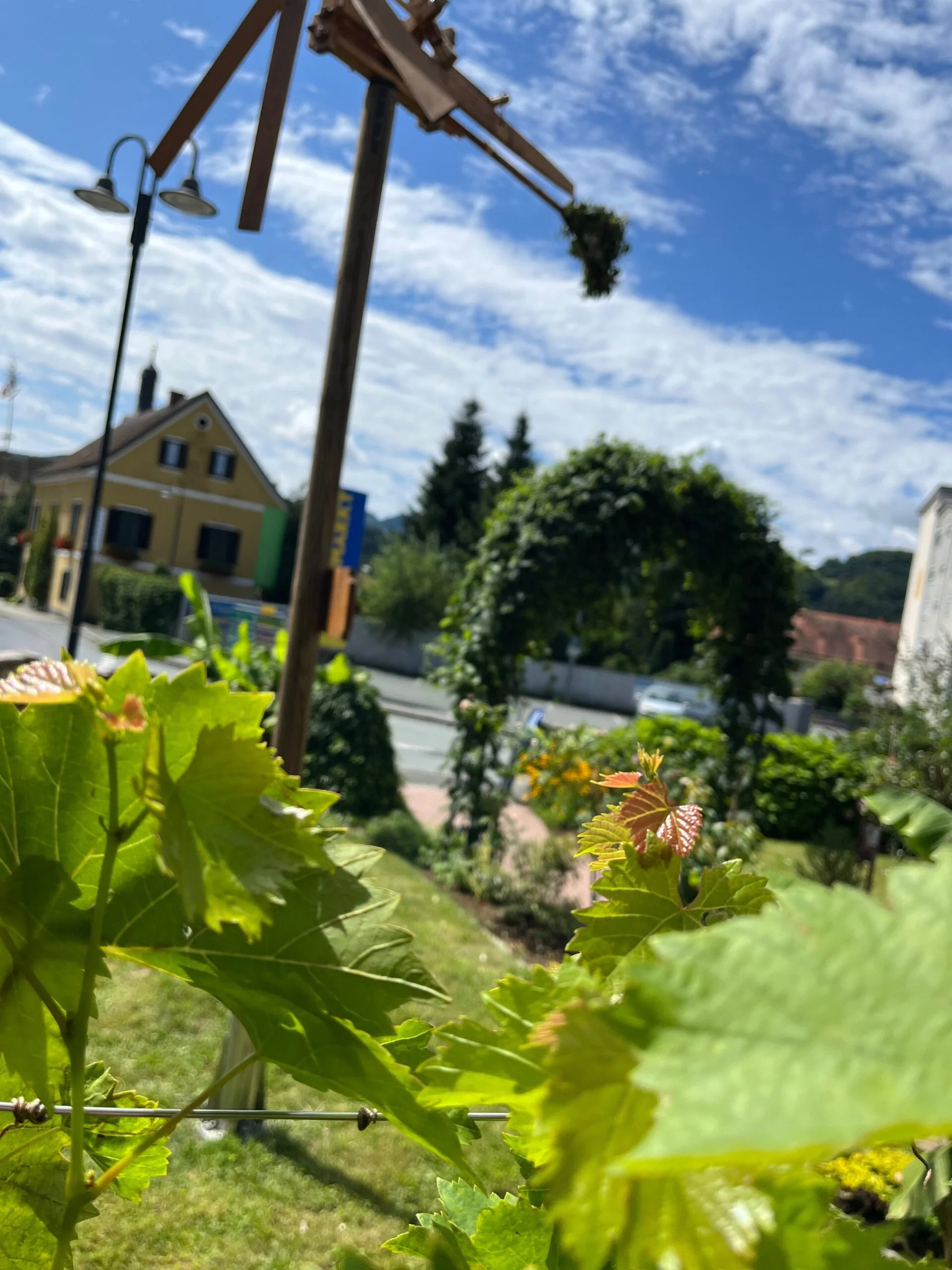 Wedding - Großklein - Gasthof zum steirischen Rebenland