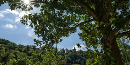 Hochzeit - nächstes Hotel - Aschersleben - Blick zur Burg Falkenstein - Thalmühle Meisdorf