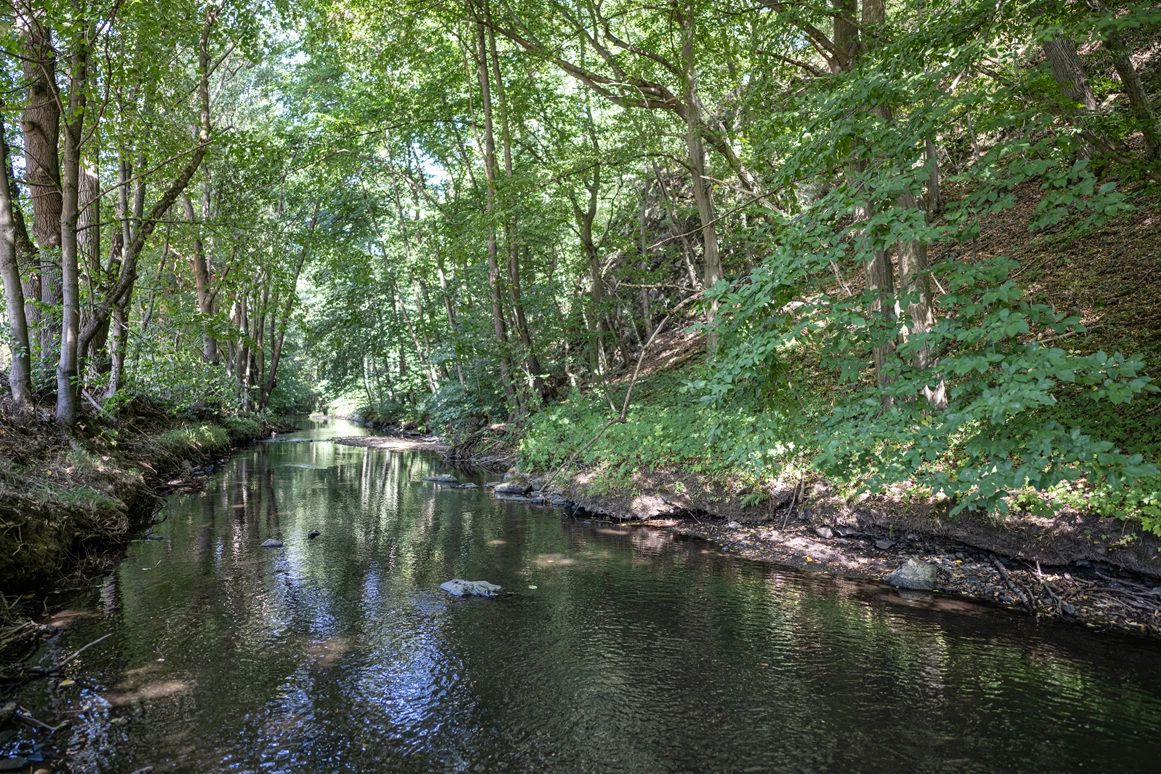 Hochzeitslocation: Selke - Thalmühle Meisdorf