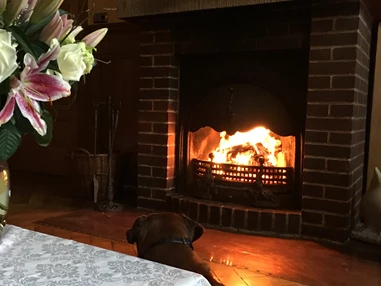 Hochzeitslocation: offner Kamin - Schloss Glowe