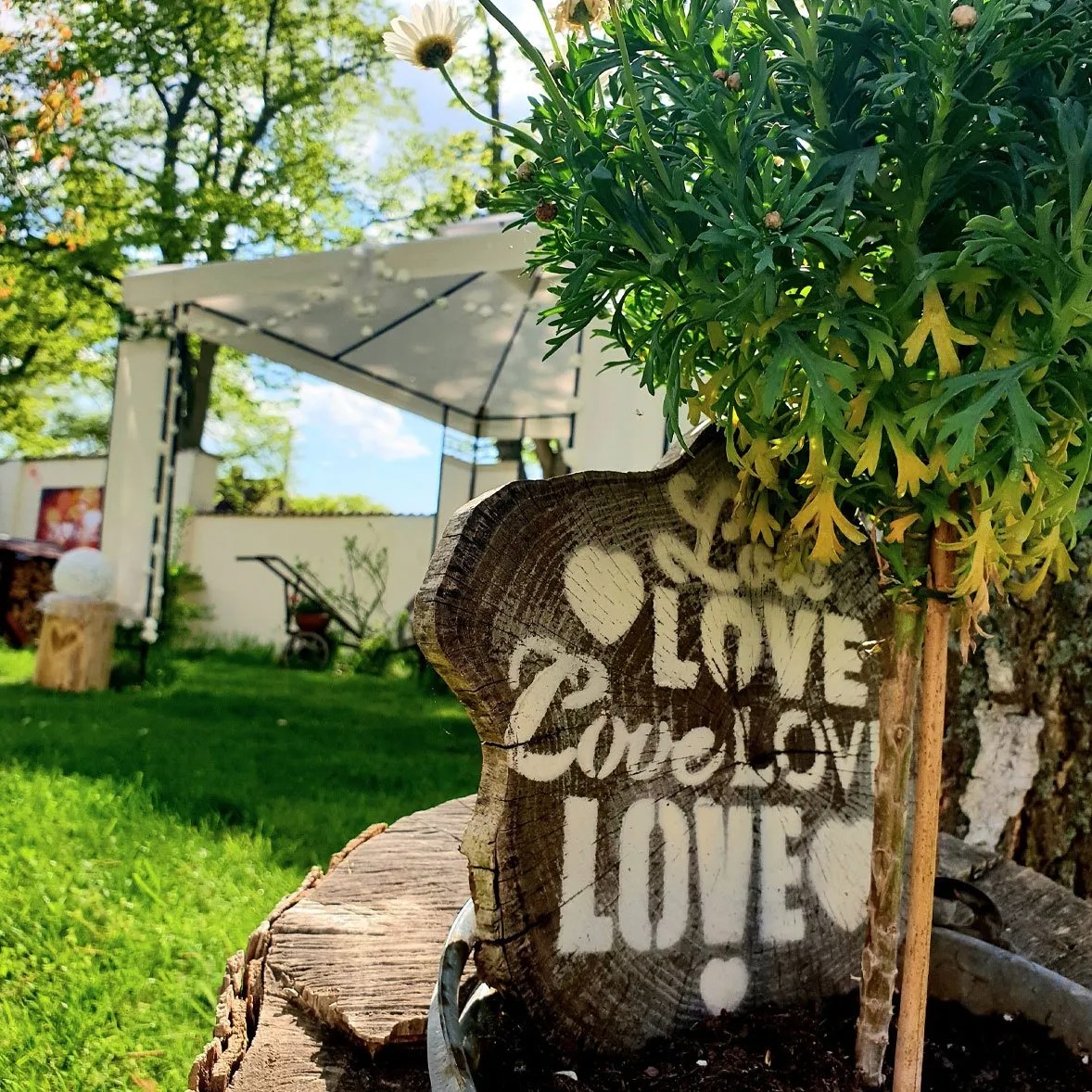 Wedding - Neuhardenberg - Eventgasthof "Zum Heiratsmarkt"