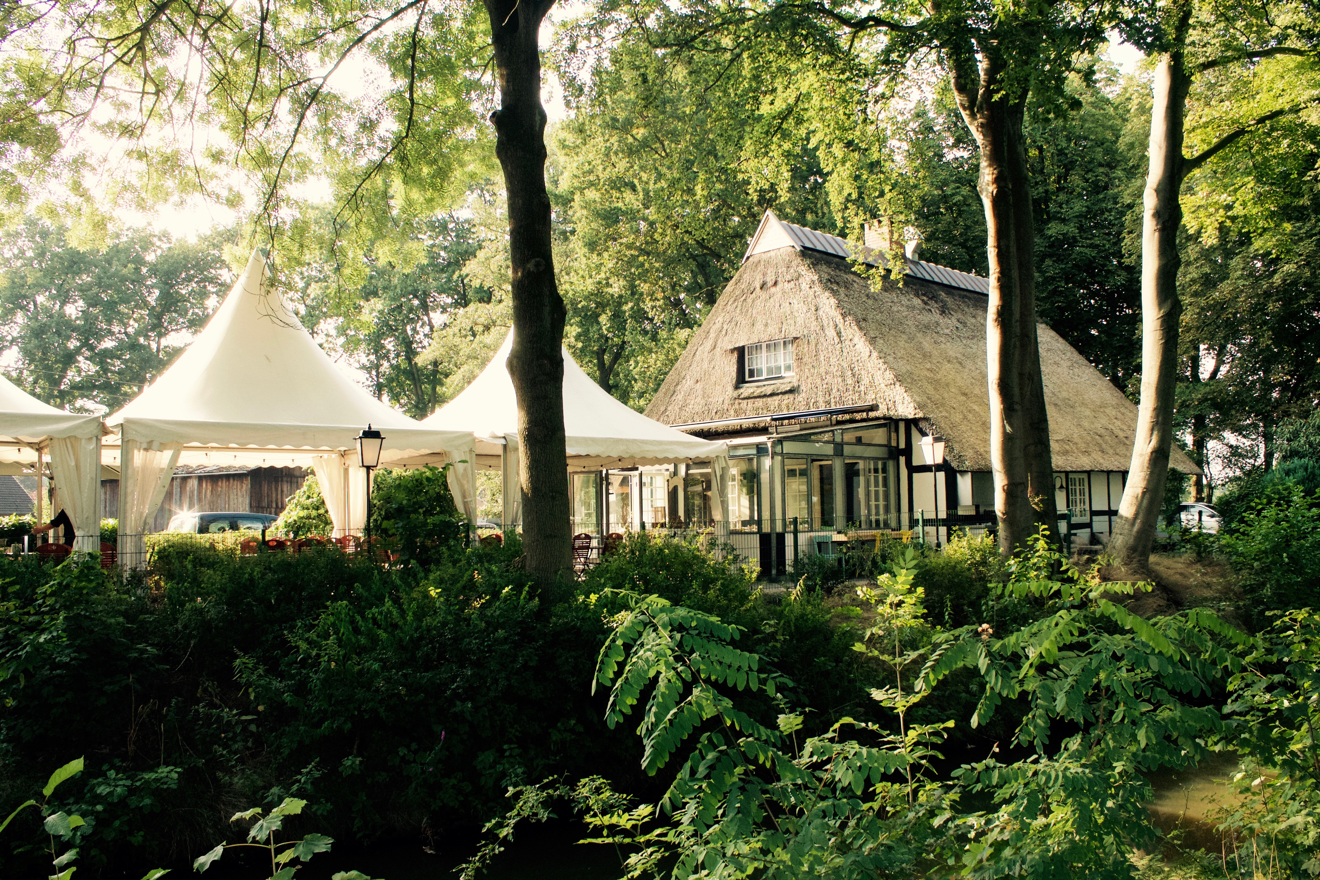 Hochzeitslocation: Wohnküche - LANDHAUS am Deich