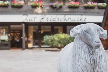 Hochzeit: Hoteleingang - Hotel Zur Heidschnucke