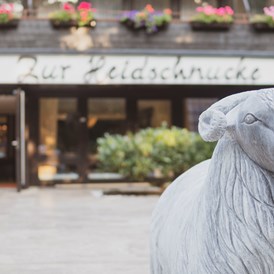 Hochzeit: Hoteleingang - Hotel Zur Heidschnucke