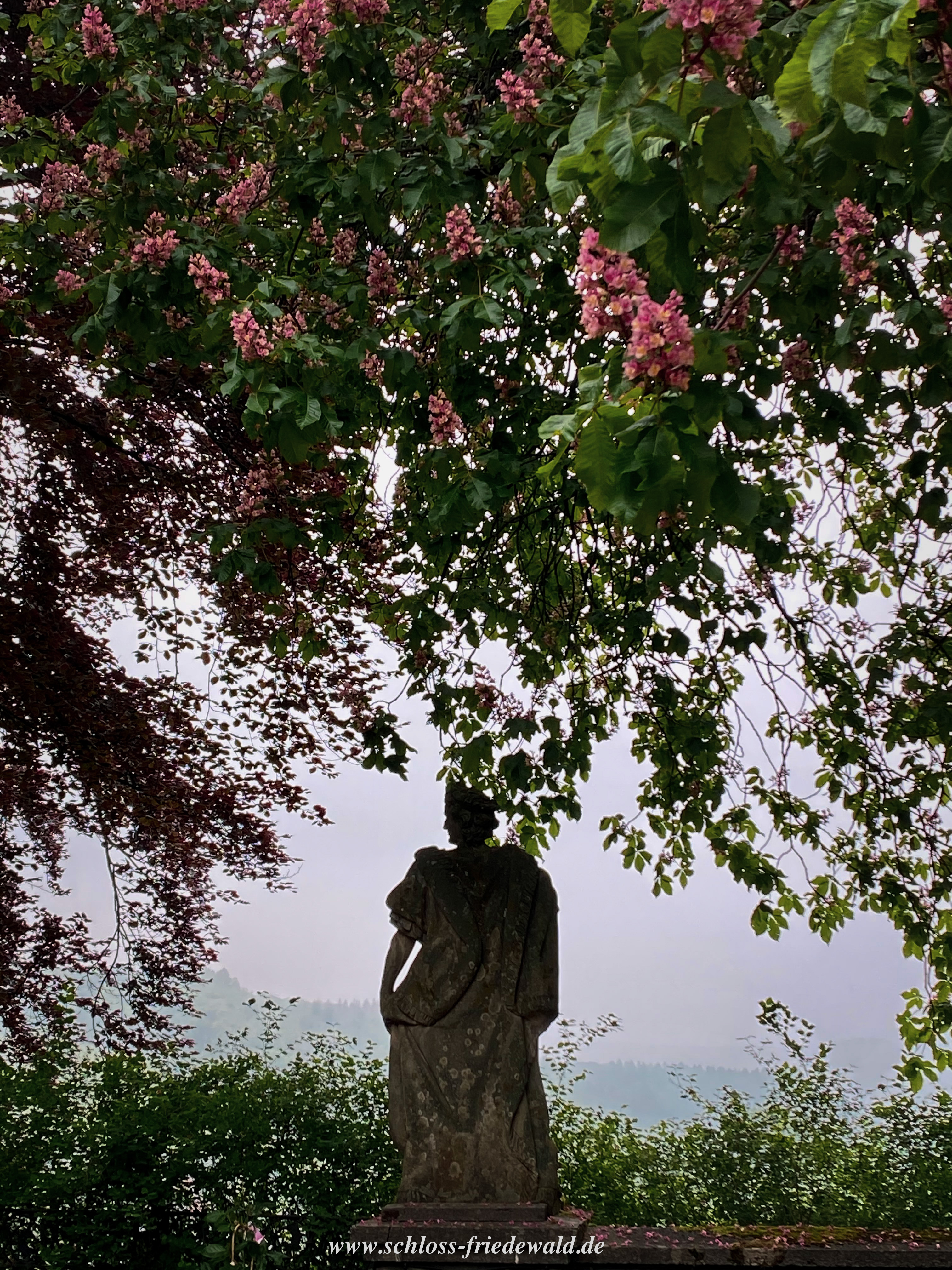 Hochzeit: Alte Bäume, Statuen und Brunnen schaffen eine ehrwürdige Atmosphäre im Schlosshof und Rosengarten. - Schloss Friedewald (Westerwald)