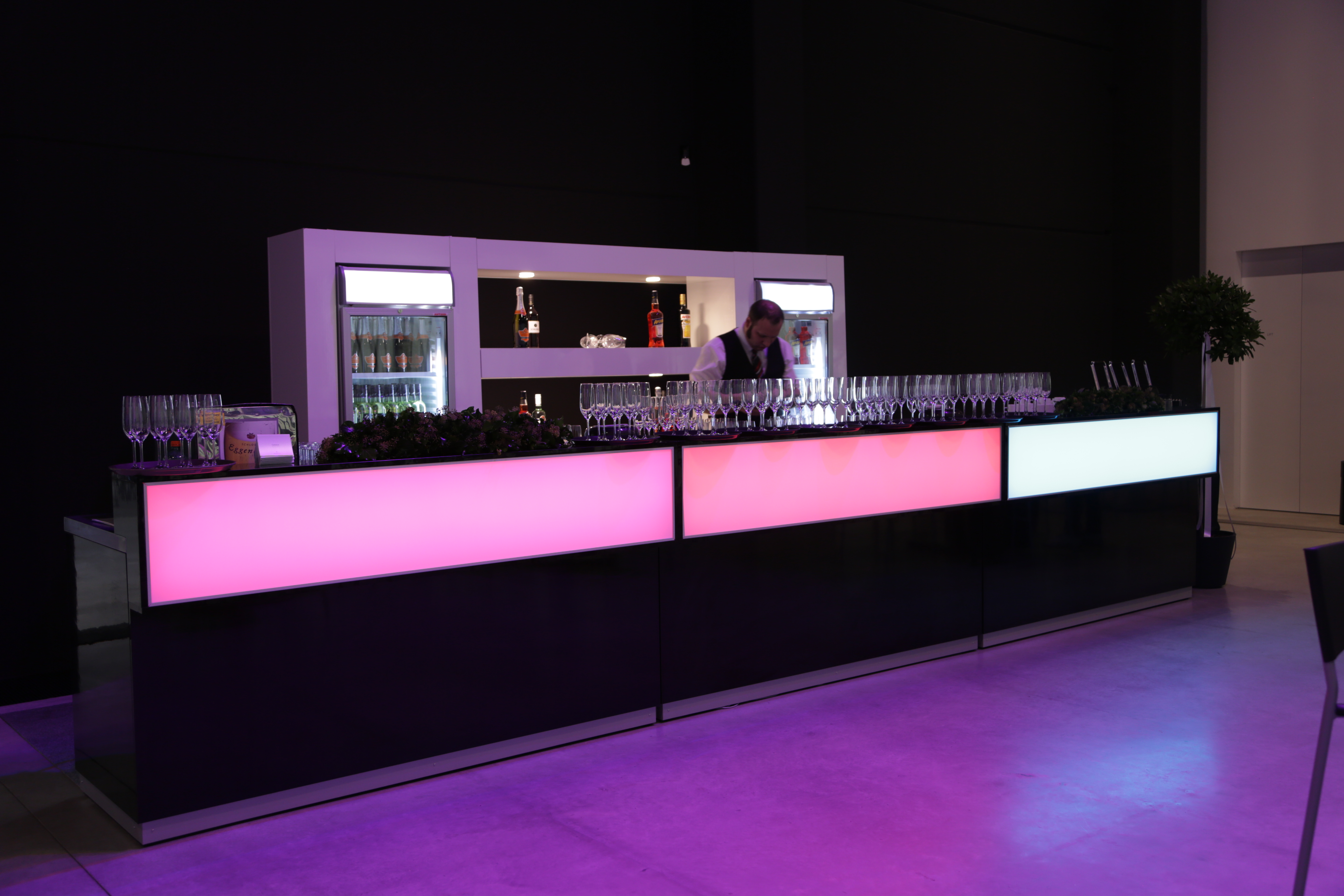 Hochzeitslocation: Museum Angerlehner