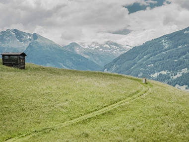 Hochzeit: Der Weg ins gemeinsame Glück - Fotoshooting einer Hochzeit des Sendlhofer's. - Sendlhofer's