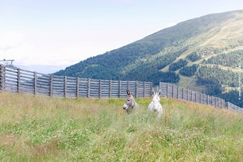 Hochzeit: Heiraten auf der Gamskogelhütte auf 1850m Seehöhe.
Foto © tanjaundjosef.at - Gamskogelhütte