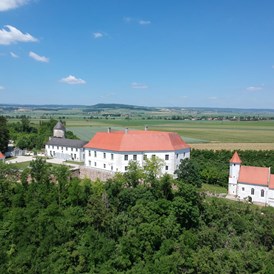 Hochzeit: Das Schloss Viehofen liegt im St. Pöltner Stadtteil Viehofen und wurde erstmals 1130 erwähnt! Neben dem Schloss befindet sich die gotische Kapelle. - Schloss Viehofen