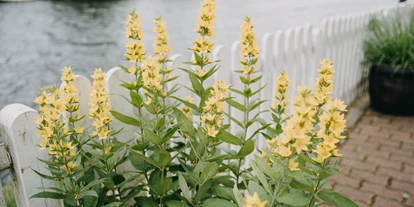 Hochzeit - Werneuchen - Neu Helgoland