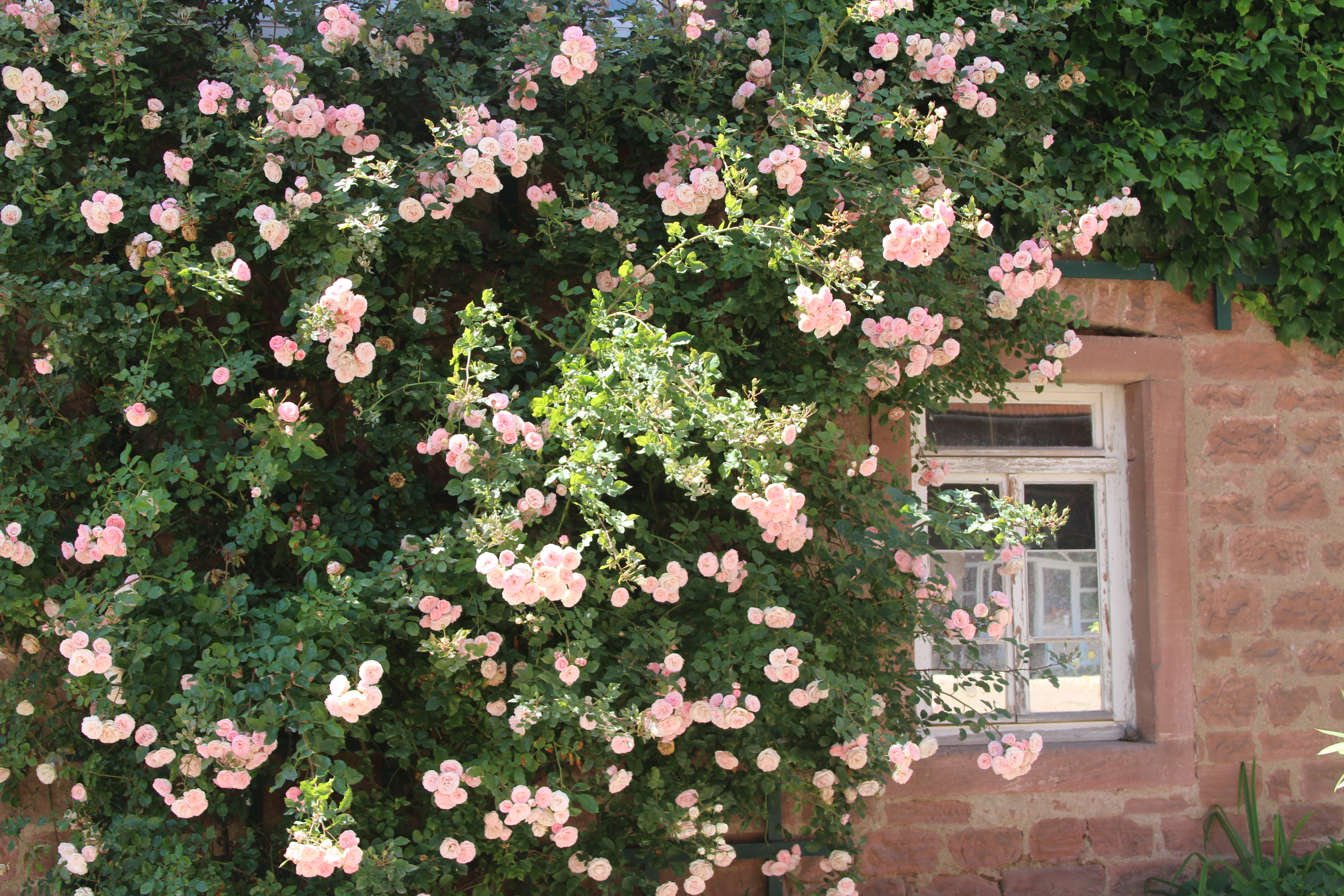 Hochzeit - Wickeltisch - Otzberg - Hofgut Habitzheim