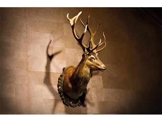 Hochzeitslocation: herzlich willkommen - zum Heurigen