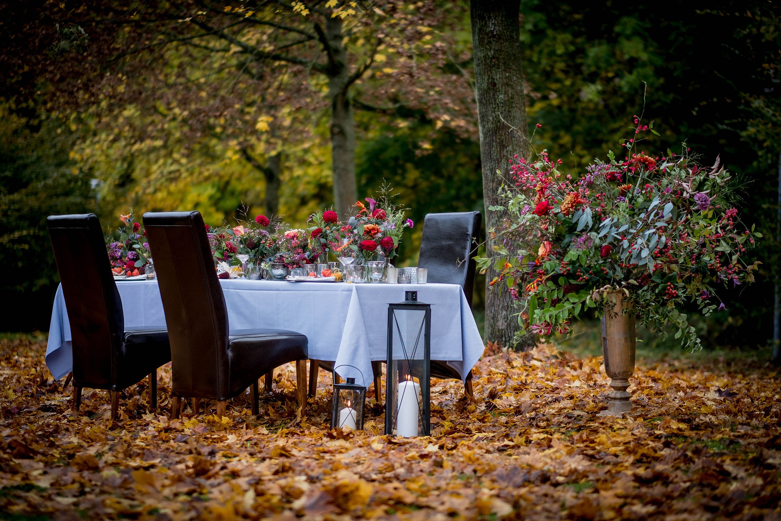 Hochzeitslocation: Hochzeit mitten im Wald mit traumhafter Atmosphäre und exklusivem Naturambiente.  
 - FREIgeist Northeim