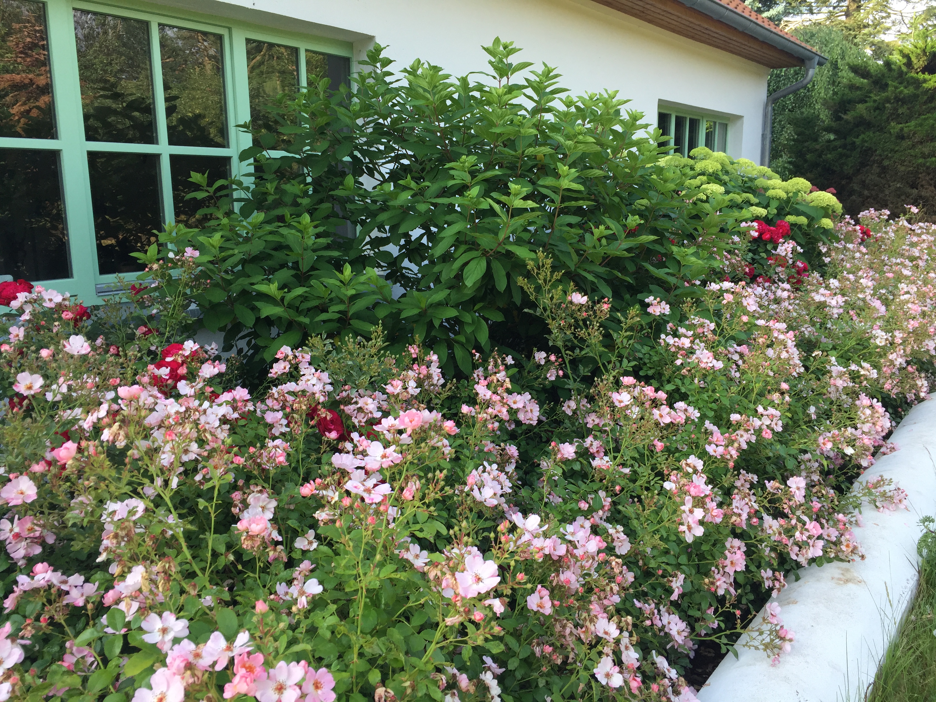 Hochzeitslocation: Unser Hof - Der Hof Boskop & Clapps